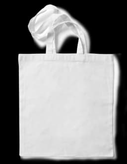 Single bag